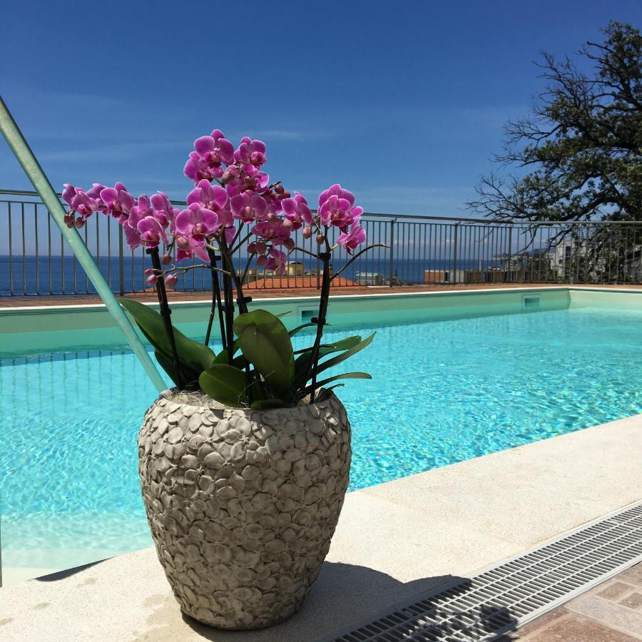 Hotel Mediterraneo กาวีดีลาวานญา ภายนอก รูปภาพ